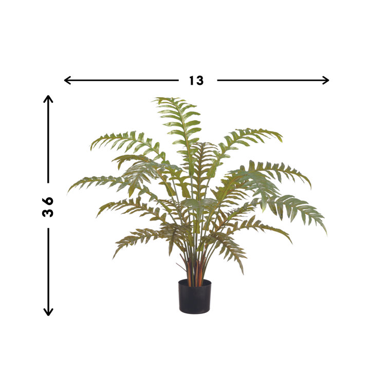 Creative Displays, Inc. 36'' Faux Fern Tree in Pot Liner Wayfair
